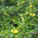 광양농협미곡종합처리장 이미지