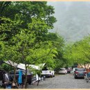 숲과 개울 펜션 이미지