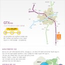 동일청과 이미지