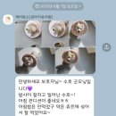 독스동물병원 | [창원 강아지 호텔 추천] 수호도 안심! 병원 옆 &#39;케어독스&#39; 리얼 후기