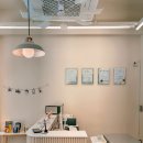 제주 이쁘냥 고양이미용실 이미지