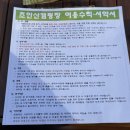 초안산 캠핑장 이미지