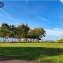 와룡지구 이미지