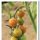 이영선농장 이미지