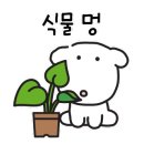 카페잇소