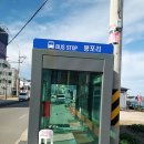 (주)메디콕스 오션 고성공장 | 속초수제버거 고성수제버거 어글리패티 클래식치즈버거 내돈내산 리얼 후기 리뷰