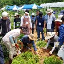 조경기능사 자격과정(이론) 이미지