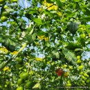 민수 농장 이미지