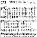 새벽기도회365-2024년7월3일(수요일) - 절망 상황에 주신 소망의 메시지 이미지