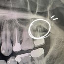 청심플란트치과의원 이미지