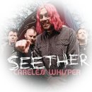 Fake it / Seether 이미지