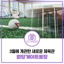 서구실내게이트볼장 | 쾌적한 실내 공간에서 즐기는 건강한 여가시간! 인천 서구 원당게이트볼장