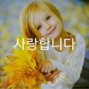 대경사 이미지