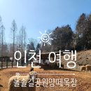 늘솔길근린공원양떼목장 이미지