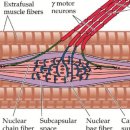 엘리트메디 이미지