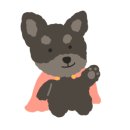 신월동물병원 이미지