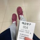 갤러리아광교지오다노 | [광교_log] 휴 출근 했으면 못 갈 뻔했네