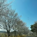 (주)해가인 네이버블로그