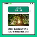 나무씨앤씨