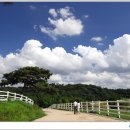 하이얀목장 이미지