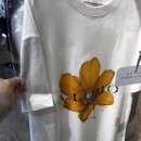 에이로모 | 아라동 미용실 ‘에이로모’ 방문 후기