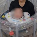 일루와 | [제품 리뷰] 일루와 핑크퐁 아기 수영장 당근 후기:)