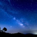 권호욱 | 인간이 멈추자... 별이 다시 쏟아졌다.