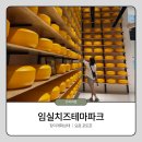전북아그로 | 임실치즈테마파크 장미축제 개화상태 주말방문 후기