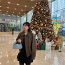 (주)코리아세븐 당산3호점 | 하정우와인,커클랜드 말보로 쇼비뇽블랑,당산 허브족발,당산 참새방앗간,약수 진남포면옥,약수카페...