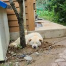 복사골농장 이미지