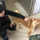 (주)디케이코리아 이미지