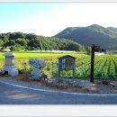 달천제방길 이미지