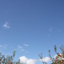 주문1리 이미지