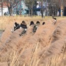 동대구로 이미지