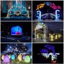 2025 대덕물빛축제 이미지