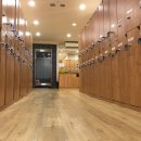 더엠 휘트니스 이미지