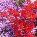 남정중학교 이미지