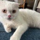 포포동물병원 이미지