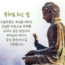 라온태권도장 이미지