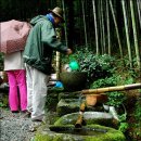 우후죽순 이미지