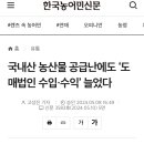 원양청과 네이버블로그