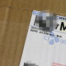 1984 분식 | 2025년 11월 일상