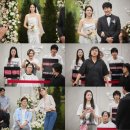 8드라 bnt뉴스