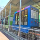 명승횟집 | 내돈내산 수국철 여행 후기! 숨은 수국 명소, 맛집...숲소리 공원, 바람의 언덕 리조트, 명승식당횟집)