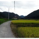 절골목장 이미지