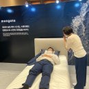 몽가타 이미지