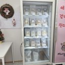 꼬꼬멍 | 광주 첨단 강아지 수제 간식 맛집<멍키친> 방문 후기