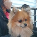 바로나도 수원영통 이미지