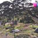 바르바커피 이미지