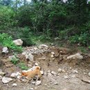 설악농장 이미지